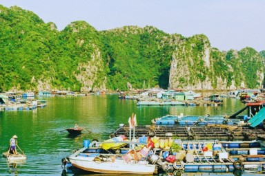 Hanoi - Halong Bay - Lan Ha bay – Tra Bau (L, D)